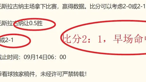 2国际赛中国战队夺冠，再创佳绩